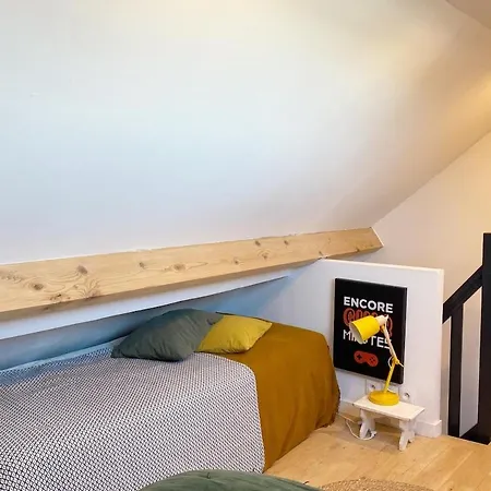 Large Maison De 5 Avec Jardin Saint Maur Proche Centre Lille