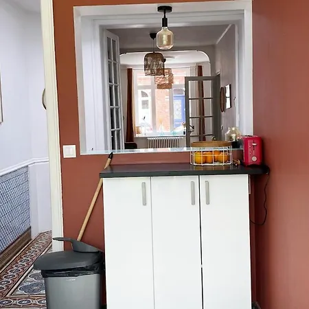 Large Maison De 5 Avec Jardin Saint Maur Proche Centre Lille *