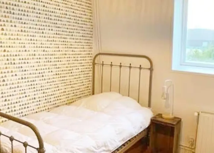 Large Maison De 5 Avec Jardin Saint Maur Proche Centre Lille *