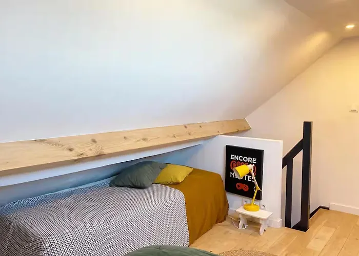 Large Maison De 5 Avec Jardin Saint Maur Proche Centre Lille *